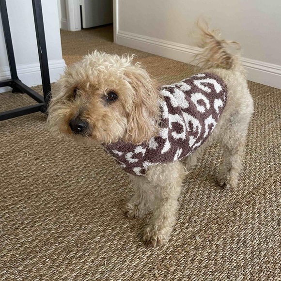 Barefoot Dreams Dog Nwt Barefoot Dreams Leopard Dog Sweater In Xs